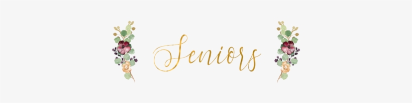 $100 Session Fee - Calligraphy, transparent png download