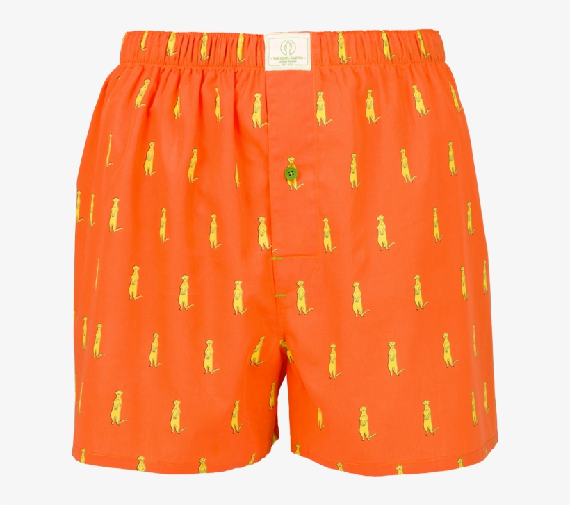 Board Short, transparent png download