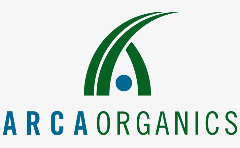 Playa Del Carmen, transparent png download