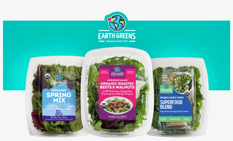 Misionero Will Be Showcasing A Revamped Earth Greens - Missionary, transparent png download