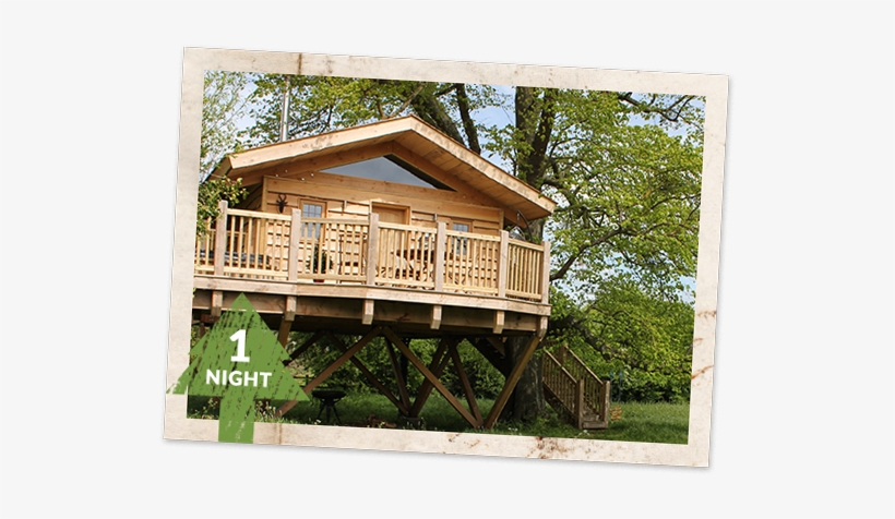 Treehouse - Tree House, transparent png download