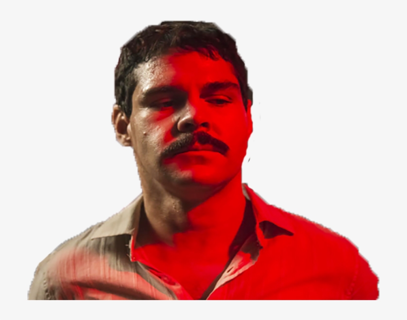 Lien Direct, 2017/35/7/1504402747 Elchapo15 Copie - Human, transparent png download