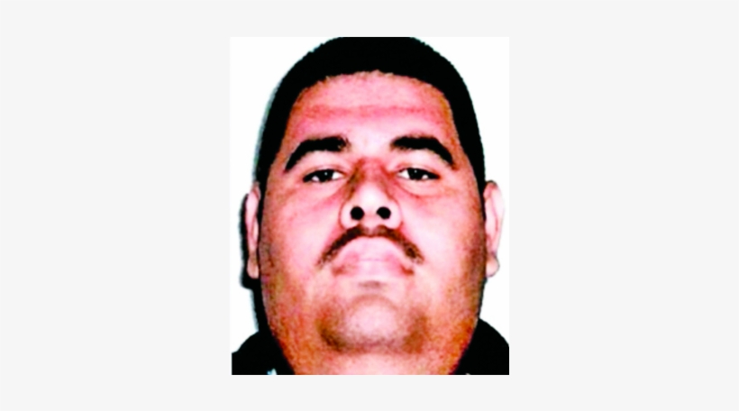 Juan M - Álvarez - - First Time El Chapo Got Caught, transparent png download