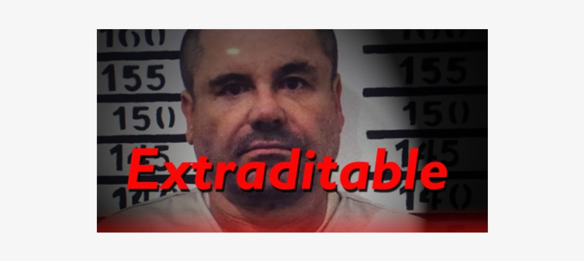 Joaquin El Chapo Guzman Mugshot Photo Art Sinaloa Cartel, transparent png download