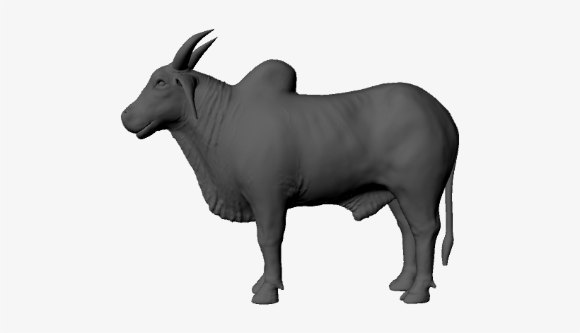 Experience Cover Photo - Ox Png, transparent png download