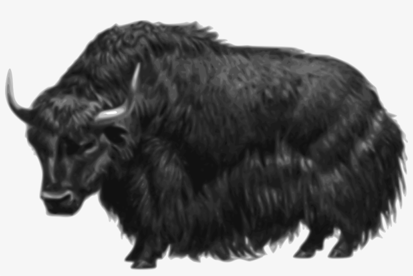Muskox Clipart Transparent Background - Yellow Yak, transparent png download
