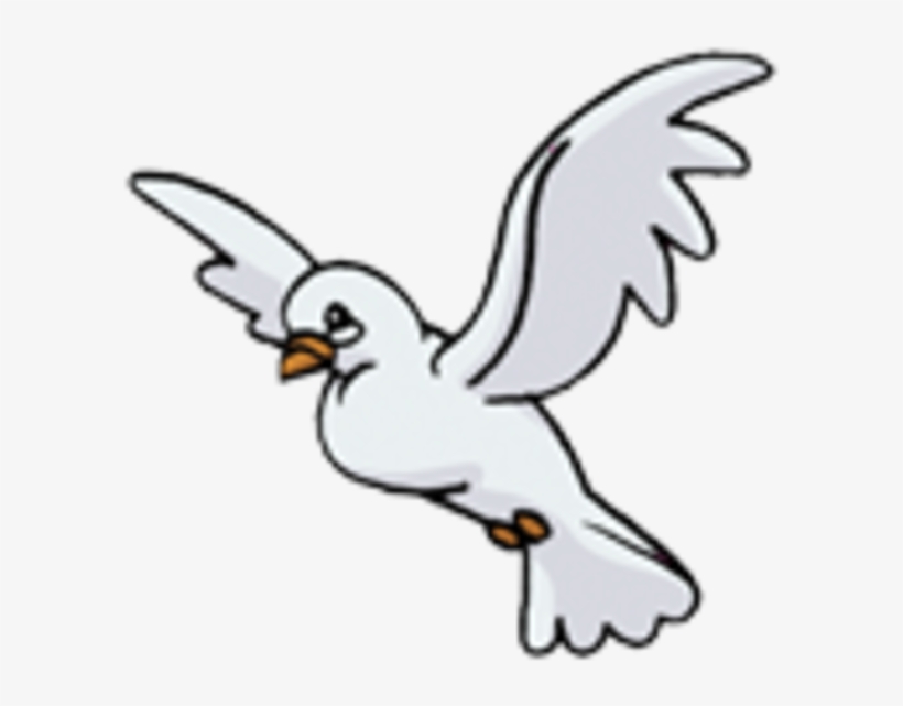 Bird Icon, transparent png download