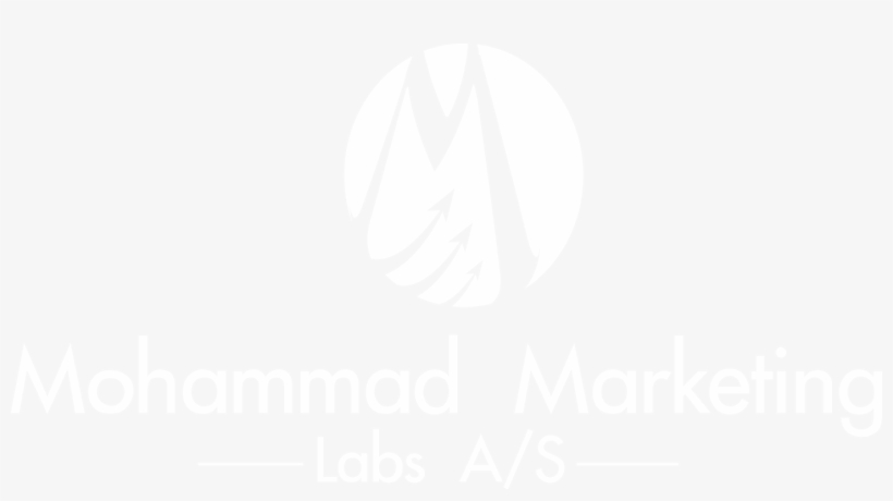 Mohammad Marketing Labs A/s - Marketing In The Public Sector: A Roadmap For Improved, transparent png download