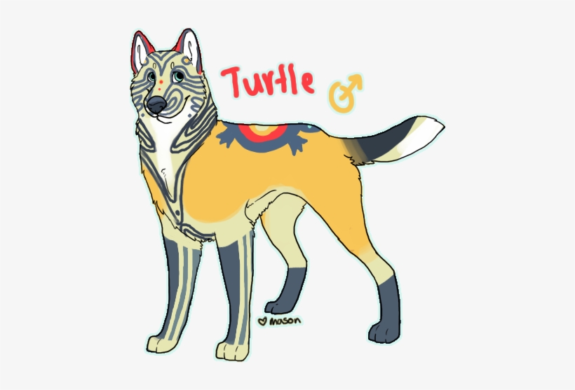 Turtwig Photo Turtwiggy - Cartoon, transparent png download