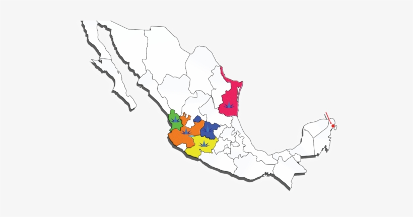 Learn About The Secrets Of Tequila - Mexico No Background, transparent png download