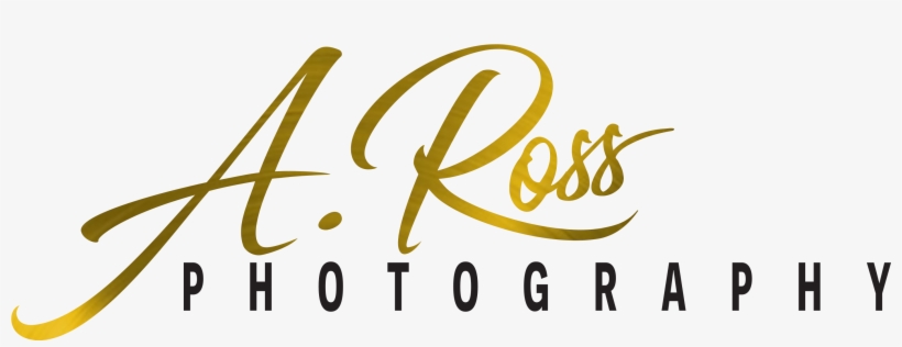 Photography Sponsor - Calligraphy, transparent png download