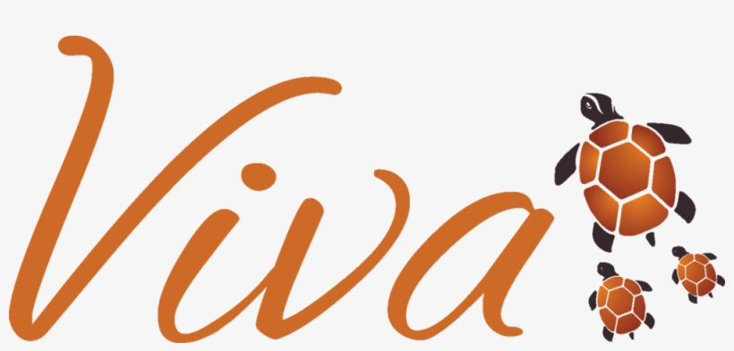 Vivaturtlebranding - Viva Modern Mexican Logo, transparent png download