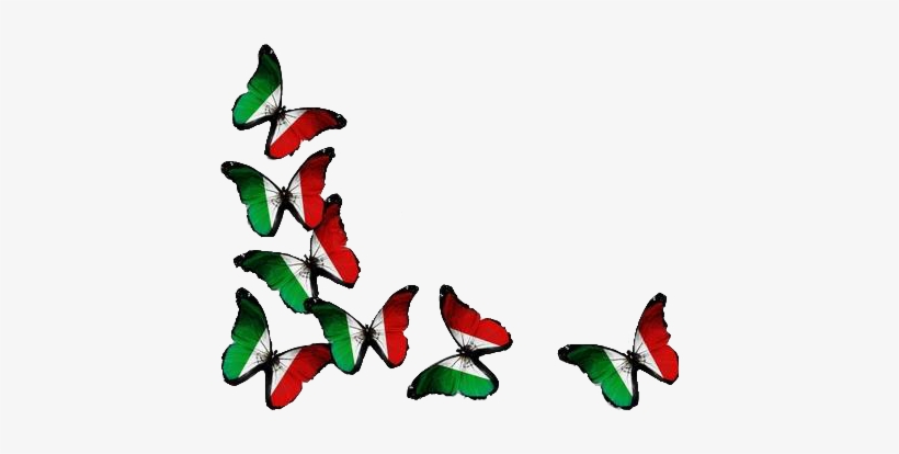 Mariposas Vivamexico Mexico Tricolor - Uae Flag Back Ground, transparent png download