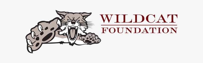 Wildcat Foundation Logo - Trademarx Kentucky Wildcats Wallmarx, transparent png download