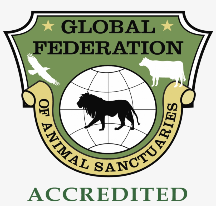 Gfas - Global Federation Of Animal Sanctuaries, transparent png download