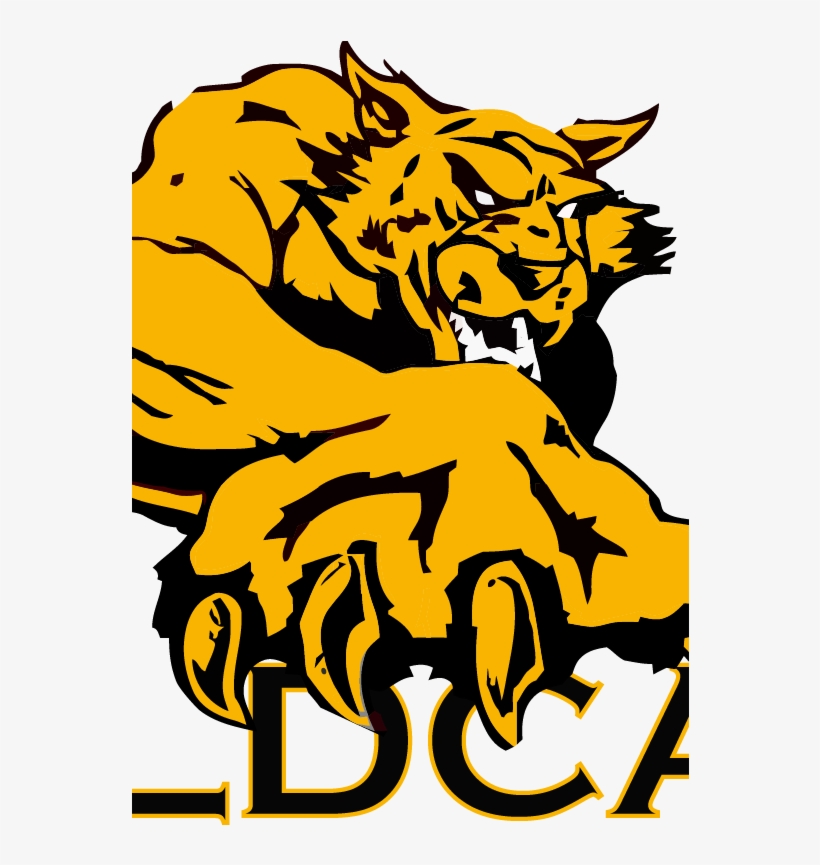 Marcus Whitman Wildcats, transparent png download