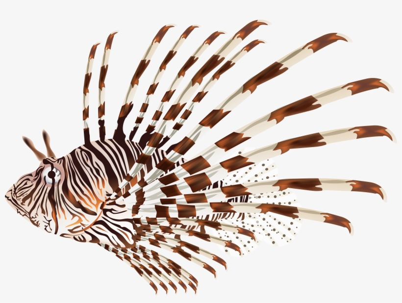 Lionfish Clipart, transparent png download