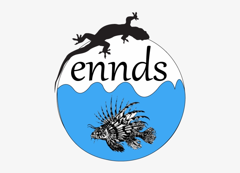 Schöne U. Einfache Vintage Löwe-fische Mousepad, transparent png download