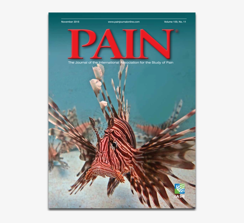 1 Reply 18 Retweets 20 Likes - Pain, transparent png download