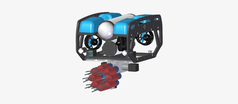 Due To How Large Of A Threat Lionfish Are To The Region, - Electric Generator, transparent png download