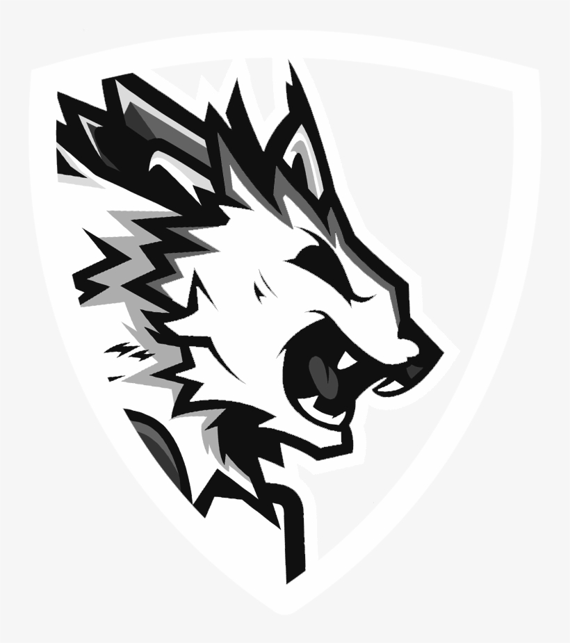 Flash Point Esports 2016-2018 - Flash Point Esports, transparent png download