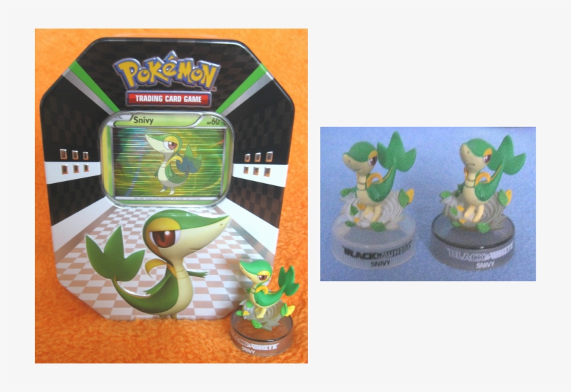 Snivy Tcg Tin With Snivy Tcg Figure Included - Serperior Box Tcg Figure, transparent png download