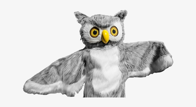 Ody Owl - Snowy Owl, transparent png download
