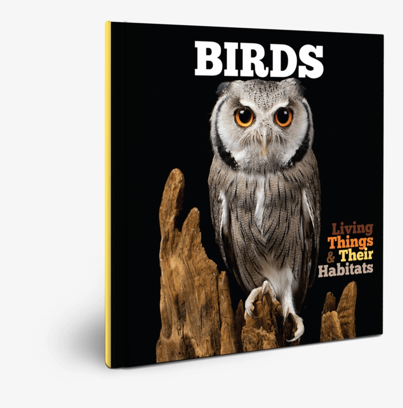 Living Things And Their Habitats - Birds By Grace Jones, transparent png download