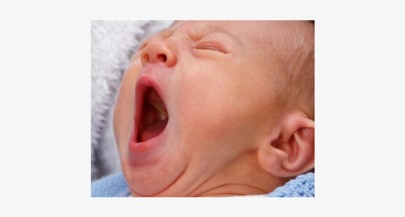 cute baby pictures for whatsapp dp