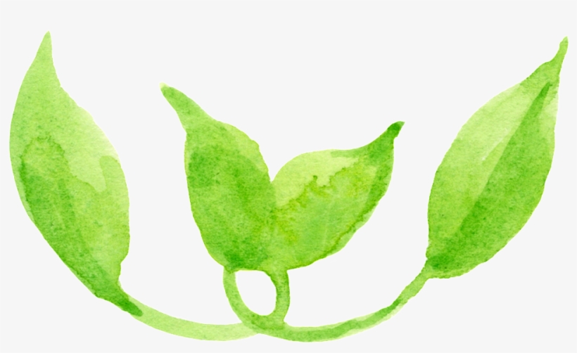 Dibujos Animados De Png Transparente Hoja De Serpentina - Leaf, transparent png download