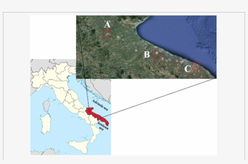 Map Of Italy With Puglia Region In Red And The Areas - Italy, transparent png download