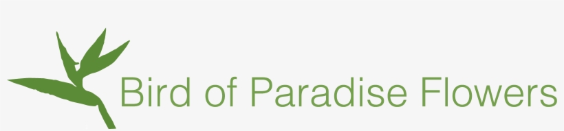 Bird Of Paradise Flowers - William Osler Health Care, transparent png download