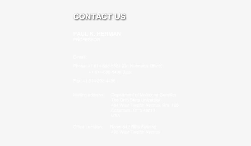 Contact Us Paul K - Build Icon Transparent White, transparent png download