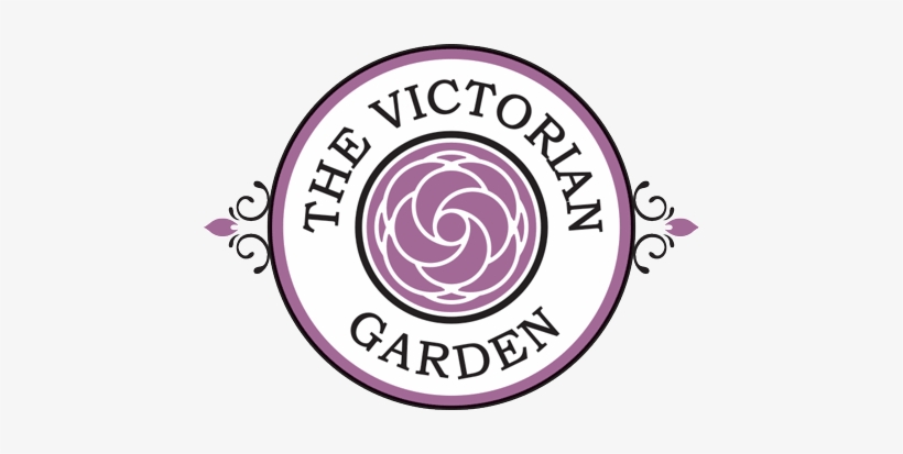 Organic Skincare Company - Yobe Desert Stars Fc, transparent png download