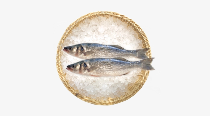Piata3 - Touladi, transparent png download