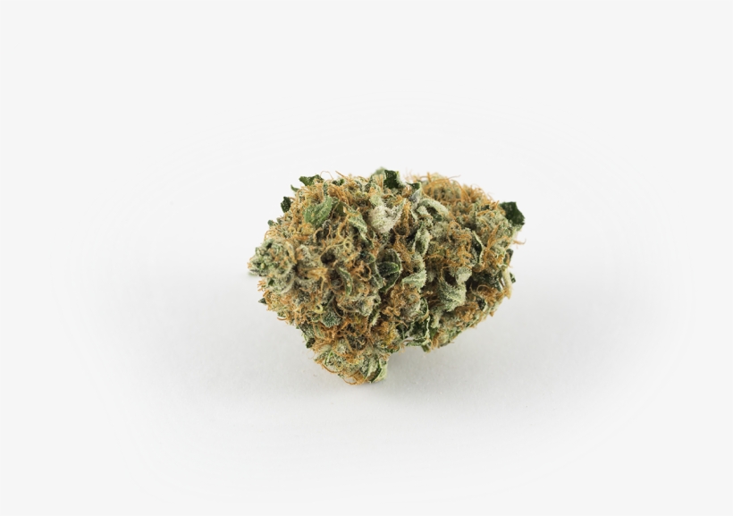 Bruce Banner - Hybrid, transparent png download