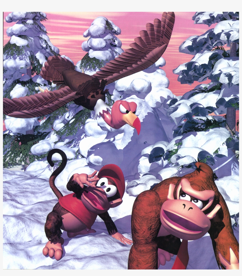 Donkey Kong Country 3 Merch, transparent png download