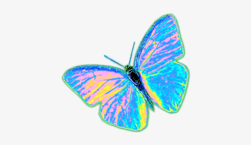 On Sale - Go To - Www - Redbubble - Com/people/dinaaaaaah - Lycaena, transparent png download