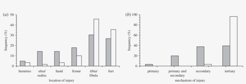 Effect Of Environment On Fracture Location And (b) - Diagram, transparent png download