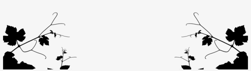 Homepage Black Leaves-1024x240 - Wrapping Paper, transparent png download