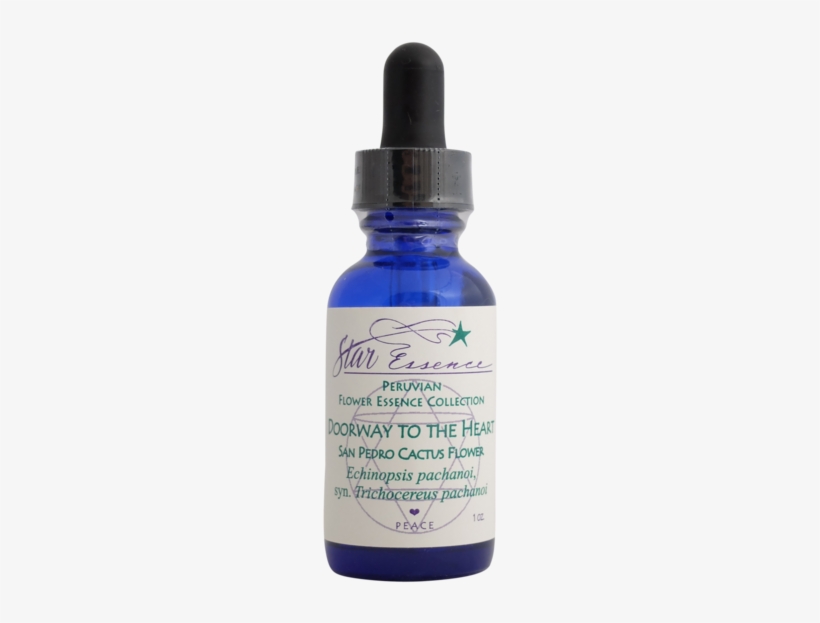 Serumtologie C Serum 22 Ingredients, transparent png download