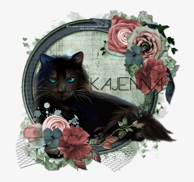 Black Mage - Black Cat, transparent png download