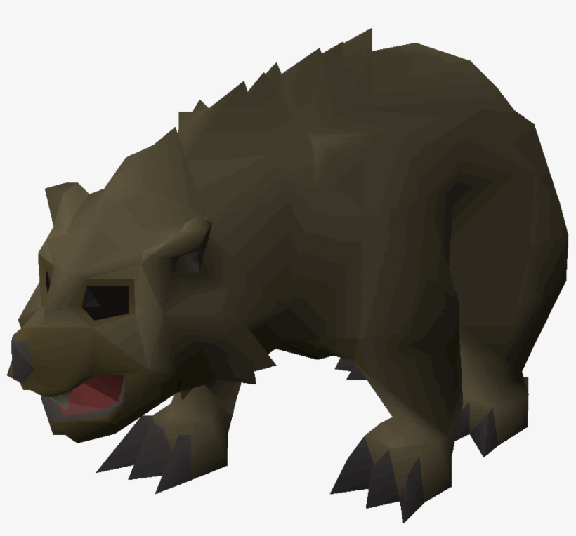 Grizzly Bear Cub - Wiki, transparent png download