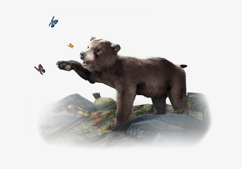 While You're In The Store, Why Not Check Out The Adorable - Eso Bear Pet, transparent png download