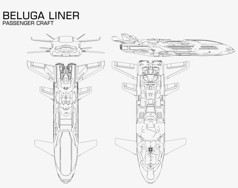 Saud Kruger Beluga Liner From Elite - Beluga Whale, transparent png download