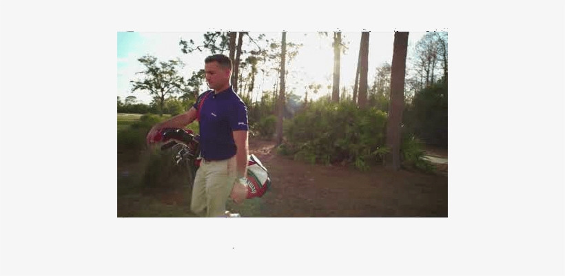 Regla Local Alternativa - Tree, transparent png download