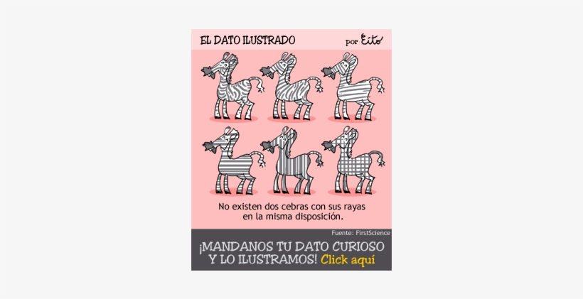 Dato 07 04 - Pattern, transparent png download