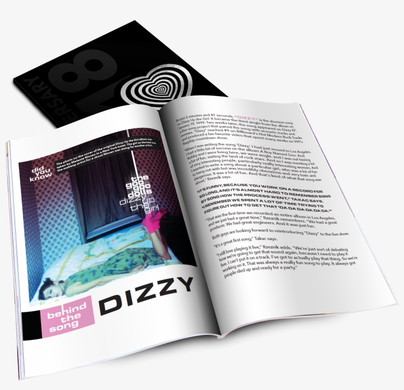 Dizzy Up The Girl (vinyl Record), transparent png download