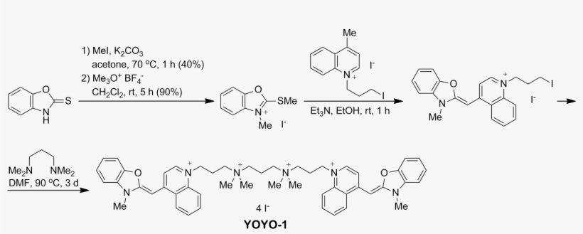 Yoyo-1 Fluorescent Dye Synthesis - Free Radical Promoted Cationic Polymerization, transparent png download