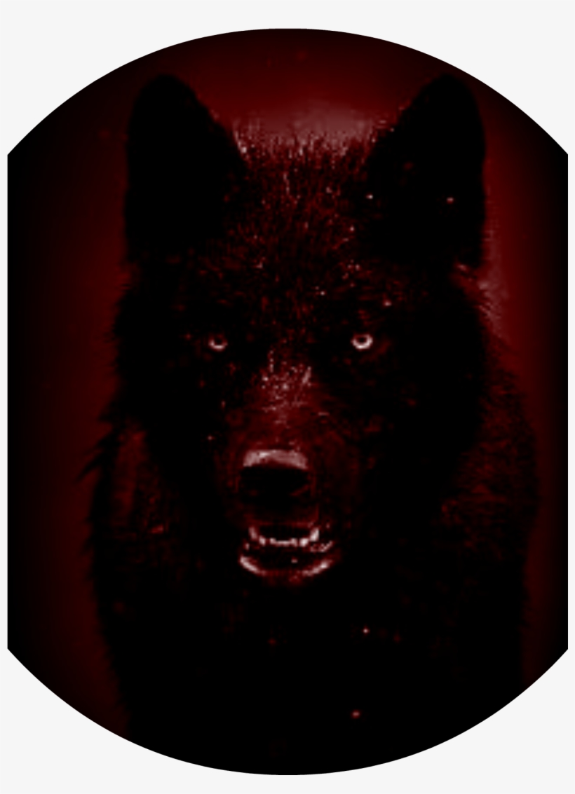 Ghastly - American Black Bear, transparent png download